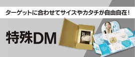 特殊DM